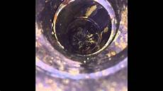 Sewage Pipe